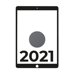 Apple iPad 10.2 2021 9th WiFi/ A13 Bionic/ 256GB/ Gris Espacial - MK2N3TY/A