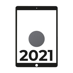 Apple iPad 10.2 2021 9th WiFi/ A13 Bionic/ 64GB/ Gris Espacial - MK2K3TY/A