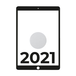 Apple iPad 10.2 2021 9th WiFi/ A13 Bionic/ 64GB/ Plata - MK2L3TY/A