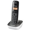 Teléfono Inalámbrico Panasonic KX-TG1611/ Negro y Blanco
