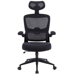 Silla Gaming Woxter Ergo/ Negro