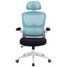 Silla Gaming Woxter Ergo/ Azul